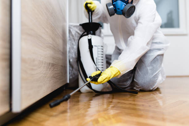 Reliable Belgrade, MT Pest Control Solutions