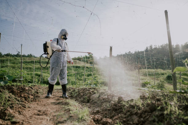 Best Affordable Exterminators  in Belgrade, MT