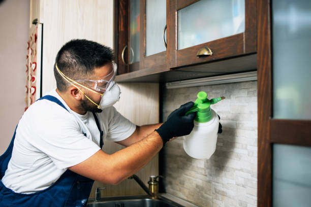 Best Affordable Pest Control Services  in Belgrade, MT