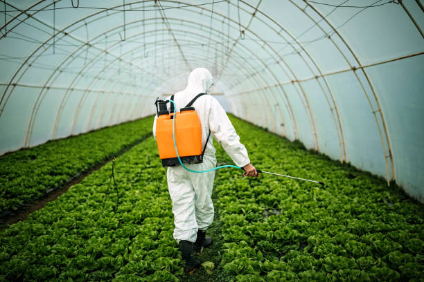 Best Affordable Pest Control Services  in Belgrade, MT