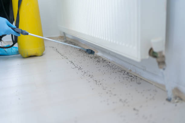 Best Emergency Pest Control  in Belgrade, MT