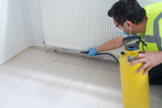 Best Cockroach Control Services  in Belgrade, MT