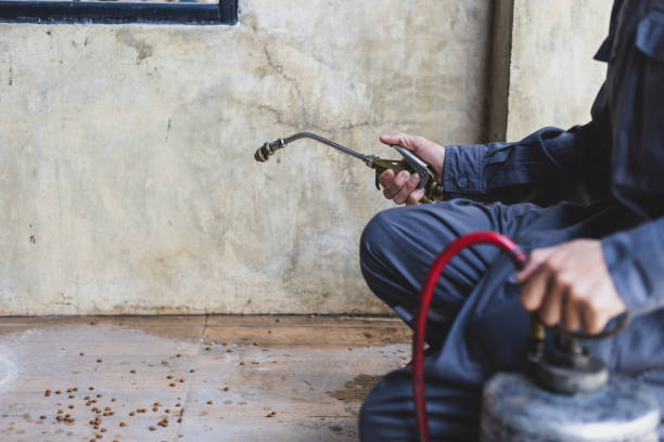 Best Exterminator Services  in Belgrade, MT